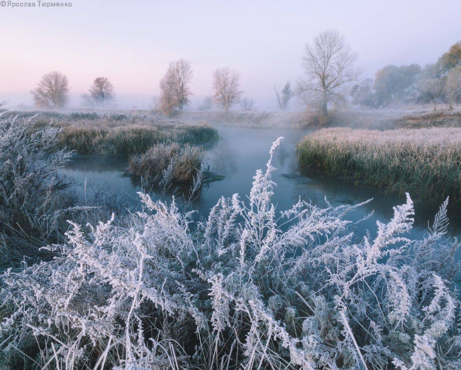 , Ярослав Тюрменко (Jaremi)