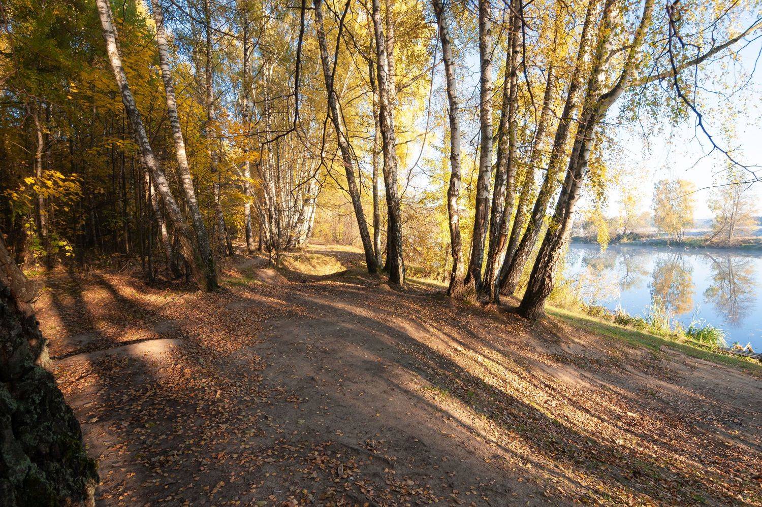 рассвет, утро, пейзаж, туман, река, природа, осень, золотая осень, золото, березы, листва, подмосковье, московская область,, Александр Кыров