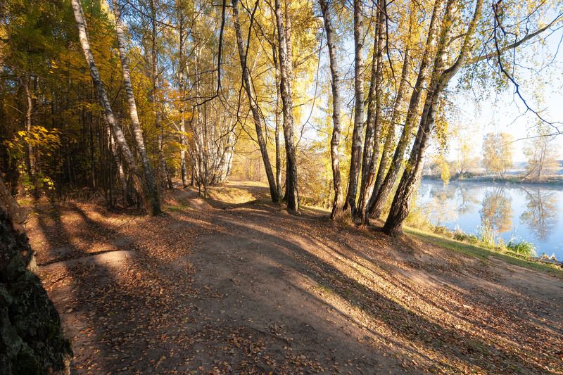 рассвет, утро, пейзаж, туман, река, природа, осень, золотая осень, золото, березы, листва, подмосковье, московская область, Подмосковная осень фото превью