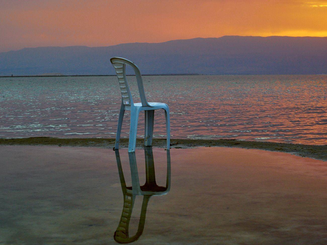 , David Solodar