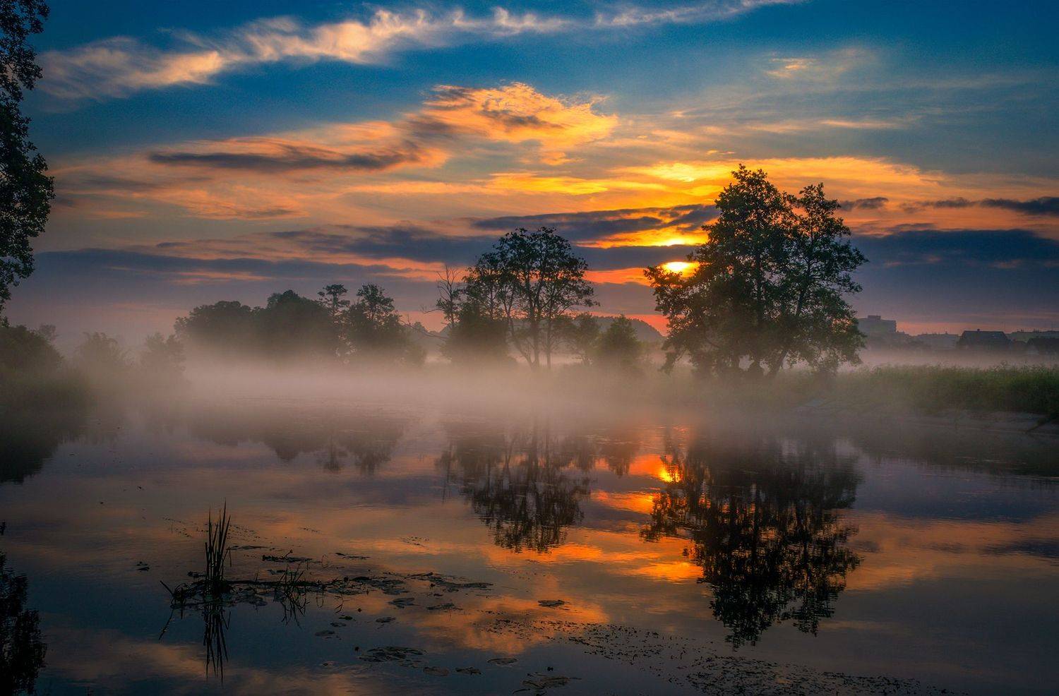 dawn  sunrise  nature  river  Gwda  Nikon  landscape  light  trees  fog  sky  clouds  sun  summer  reflection in the water, Krzysztof Tollas