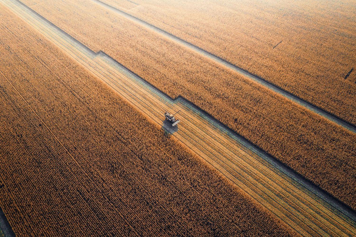 , Николай Брытков