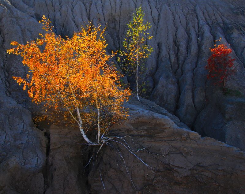 Однажды осенью фото превью