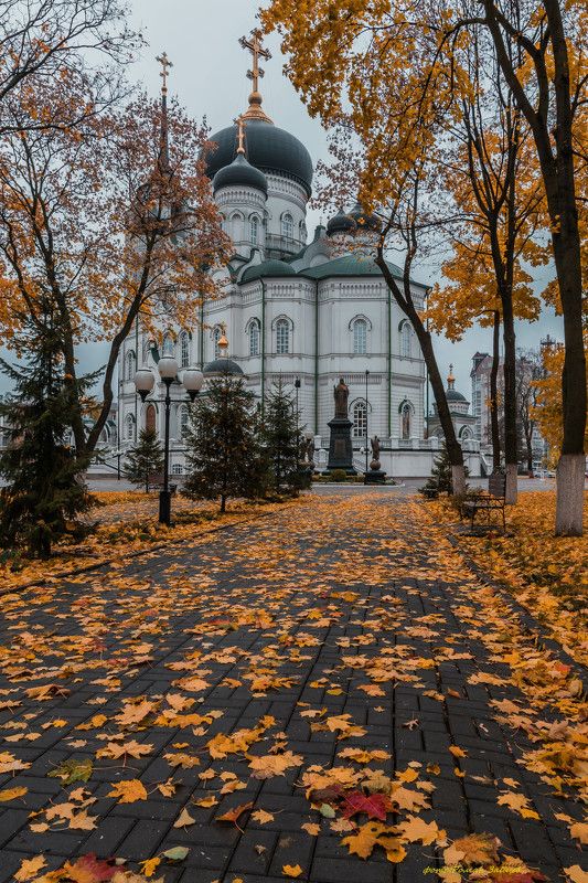 Благовещенский собор. Воронеж фото превью