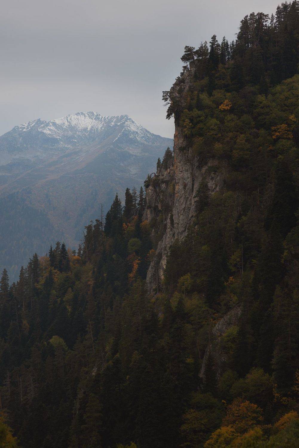 , Кирилл Киселев