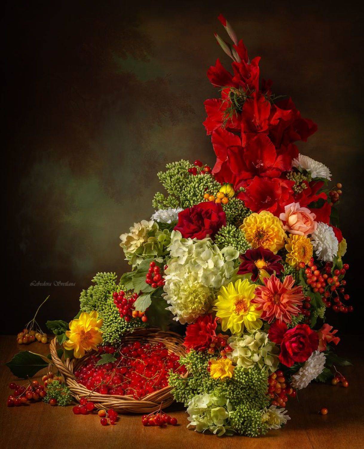 гладиолусы,цветы,георгины,красная смородина, Светлана Л.