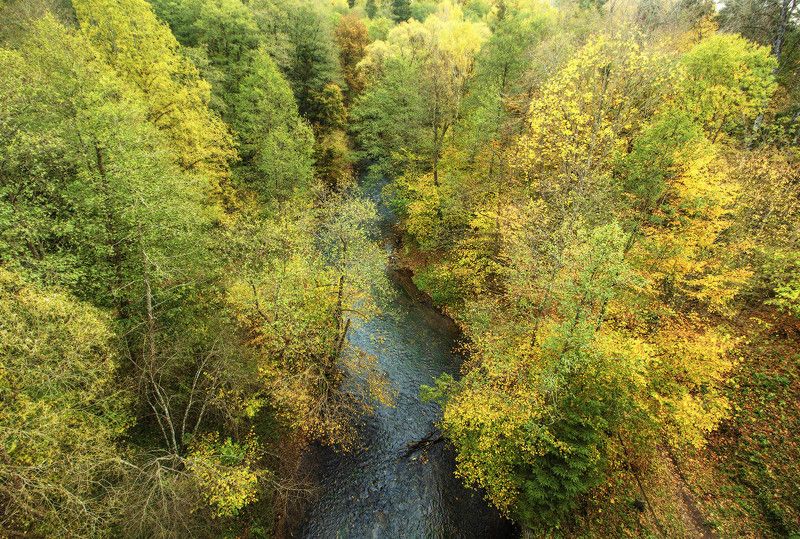 Осень в Краснолесье. фото превью