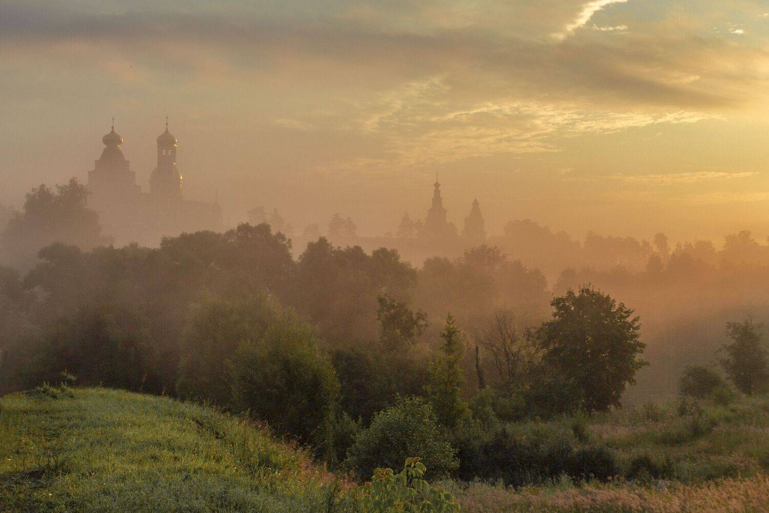 Истра, Елена Гусева