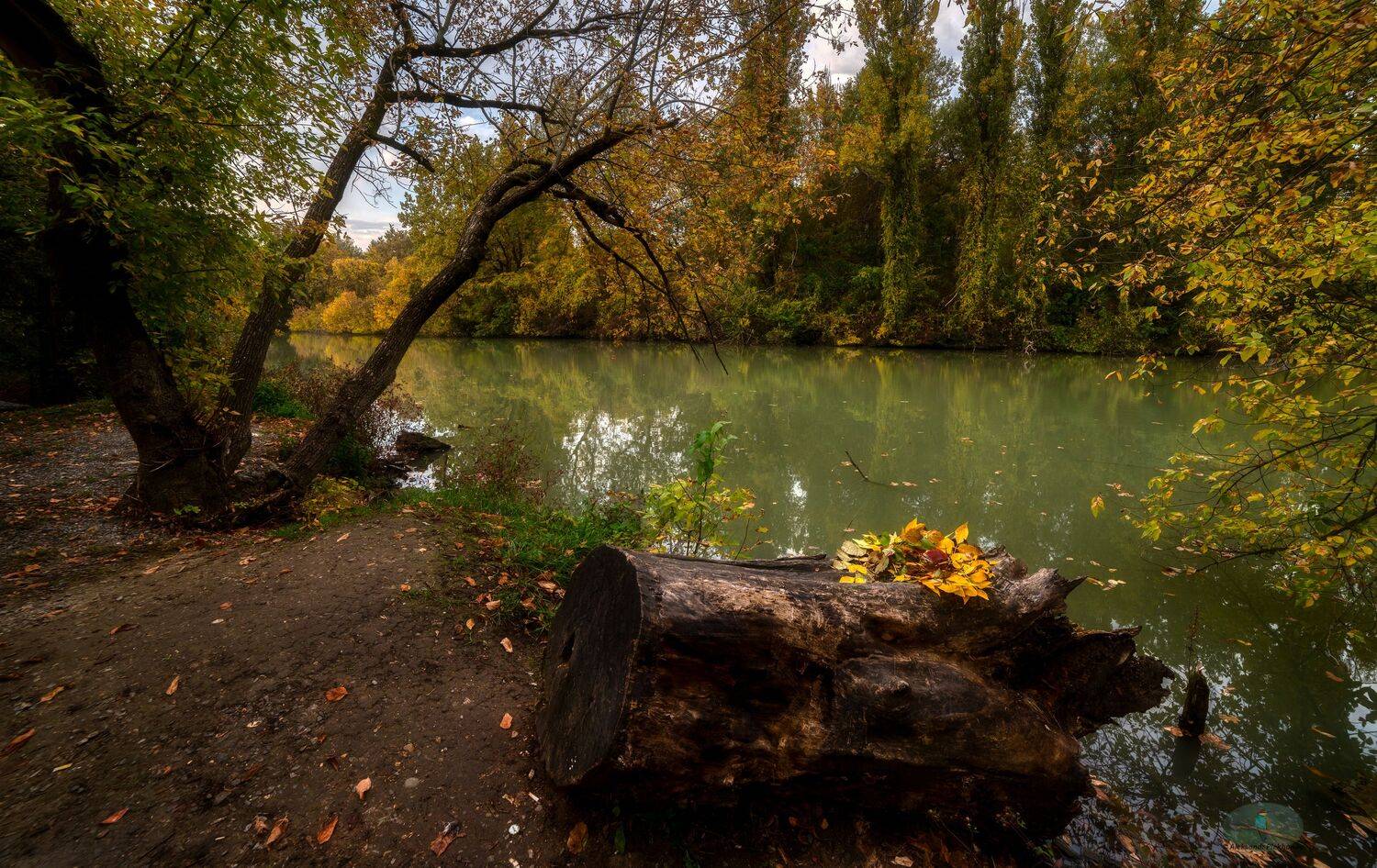 , Alexander Plekhanov