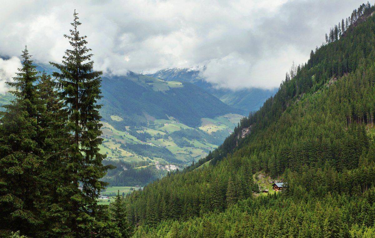 , Александр Удовиченко