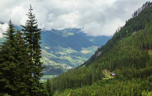 Домик на холме