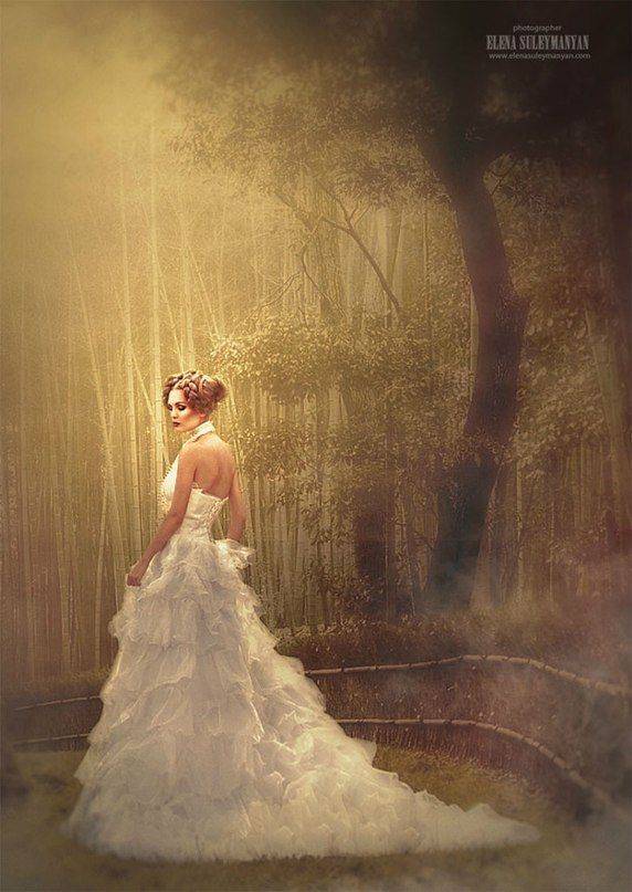 , Сулейманян Елена