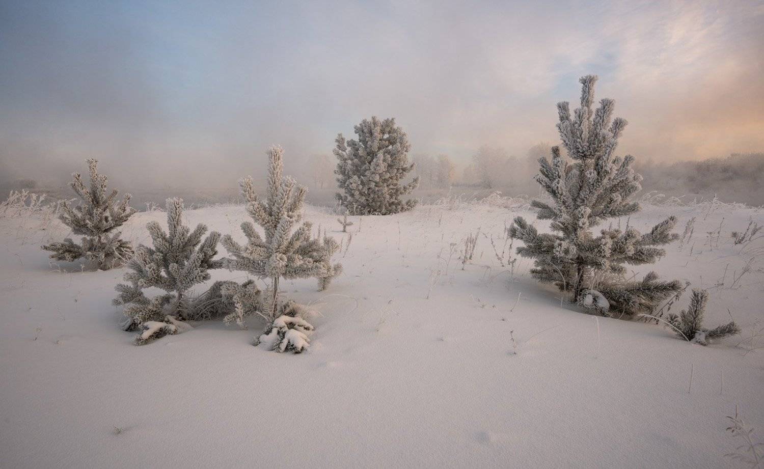 , Александр Гоголин