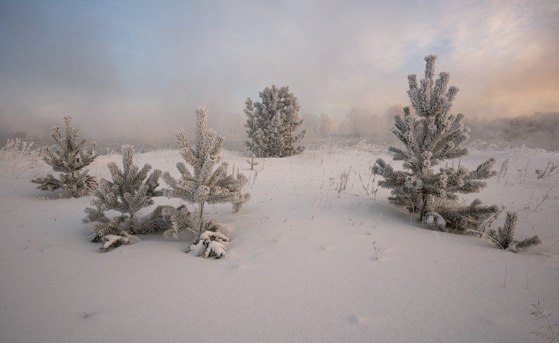 Зимняя сказка фото превью