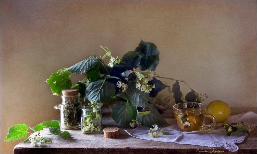 , Eleonora Grigorjeva