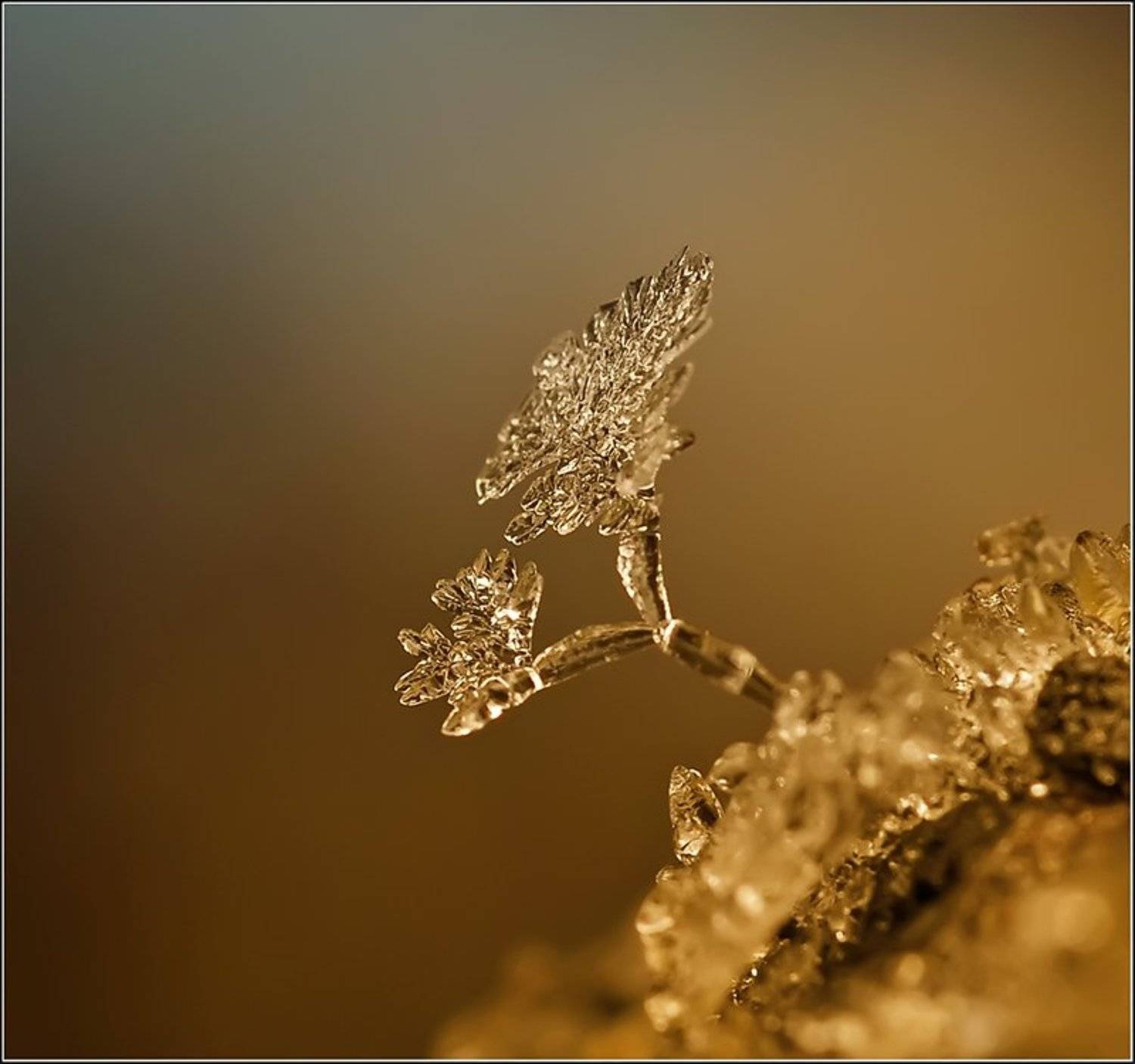 , Андрей Осокин