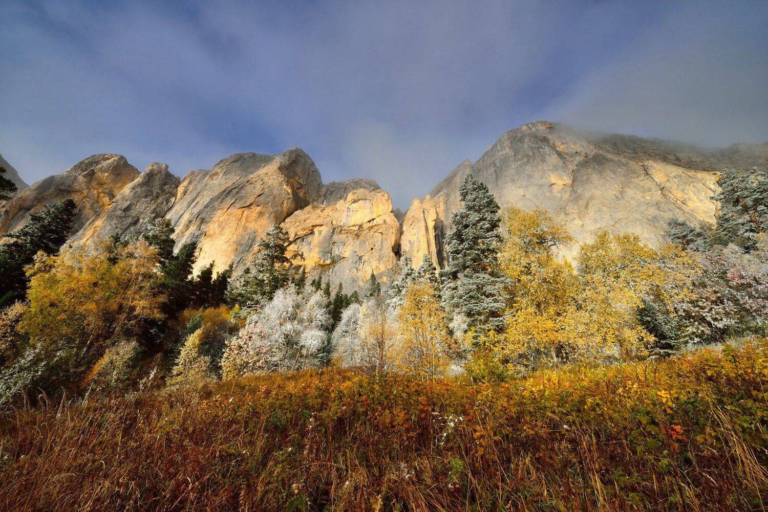 , Максим Евдокимов