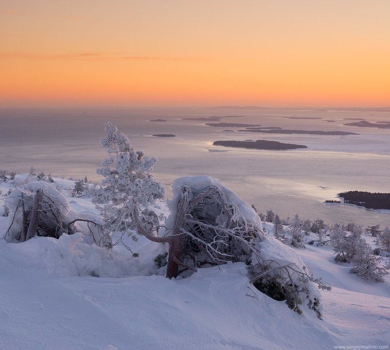 Закаленная ветрами фото превью