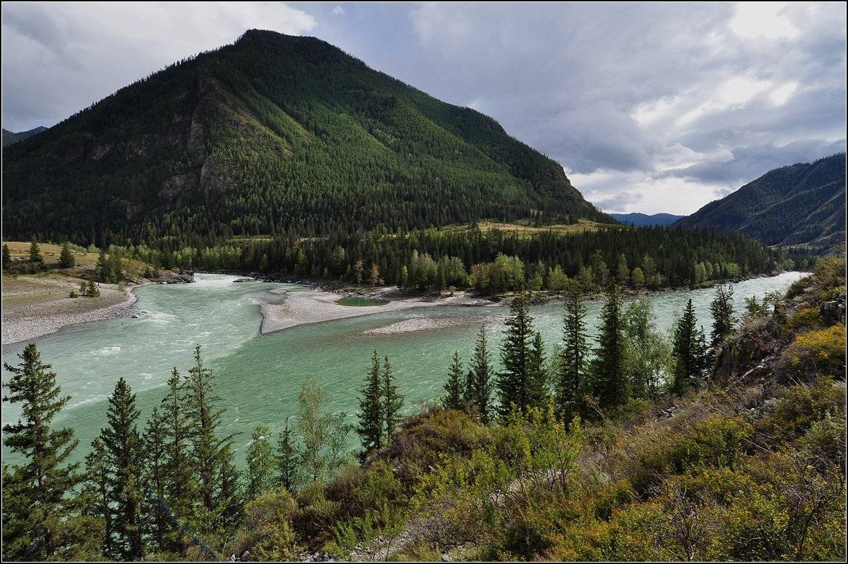 алтай, горы, долина. р.катунь, устье р.аргут, АНАТОЛИЙ ДОВЫДЕНКО