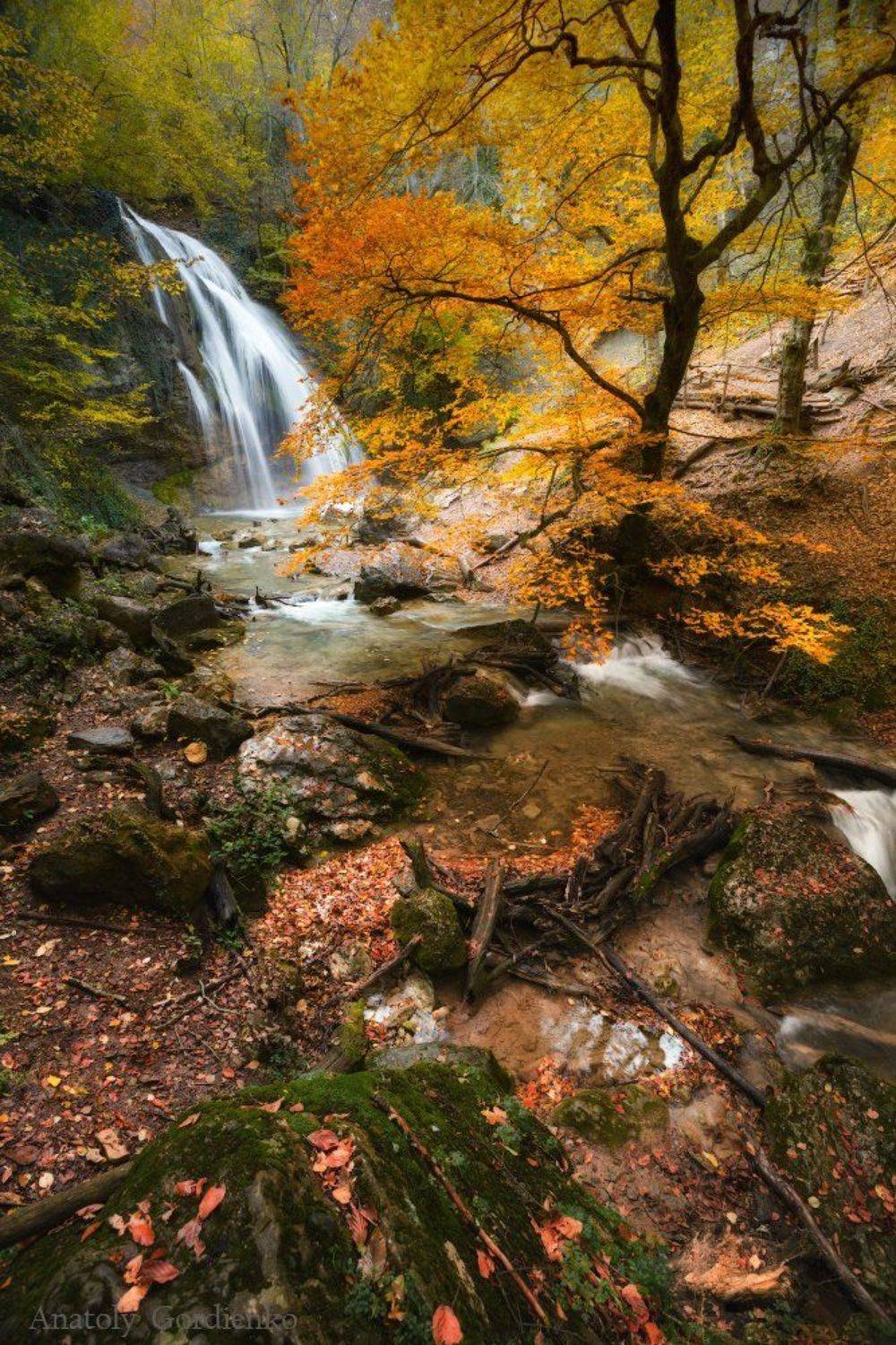 , Анатолий Гордиенко