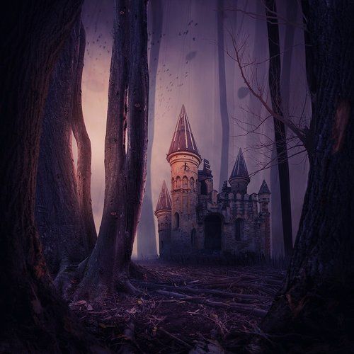 Forgotten castle
