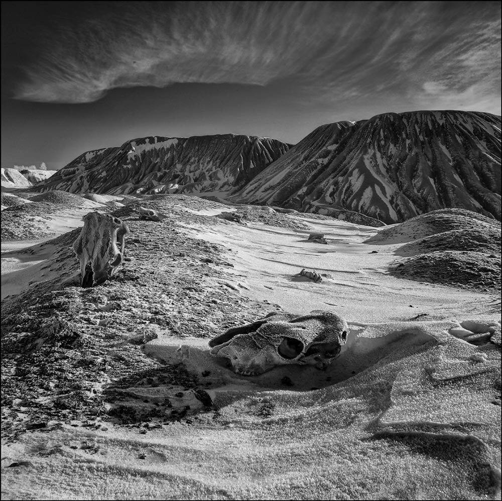 , Петриченко Валерий