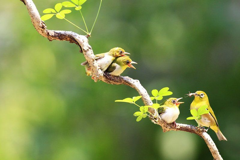 Mother\'s love фото превью
