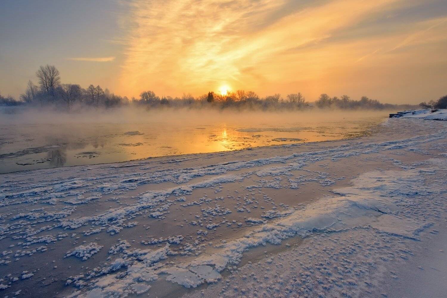 , Максим Евдокимов