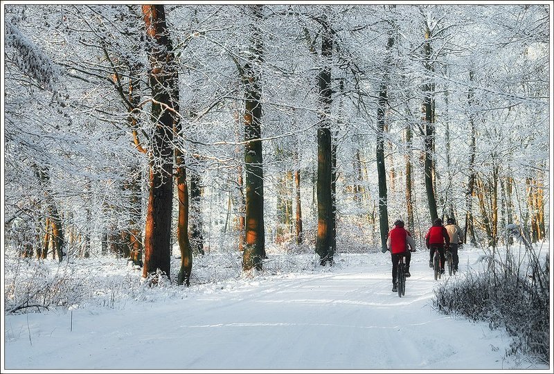 *** фото превью