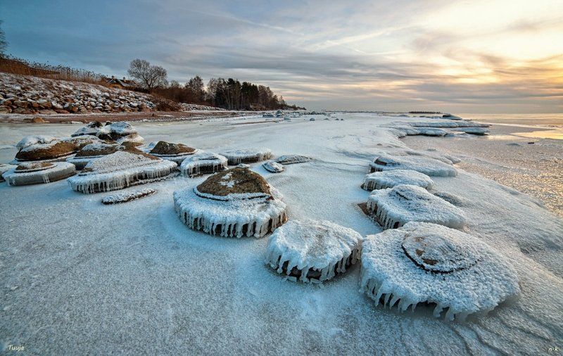 фото превью