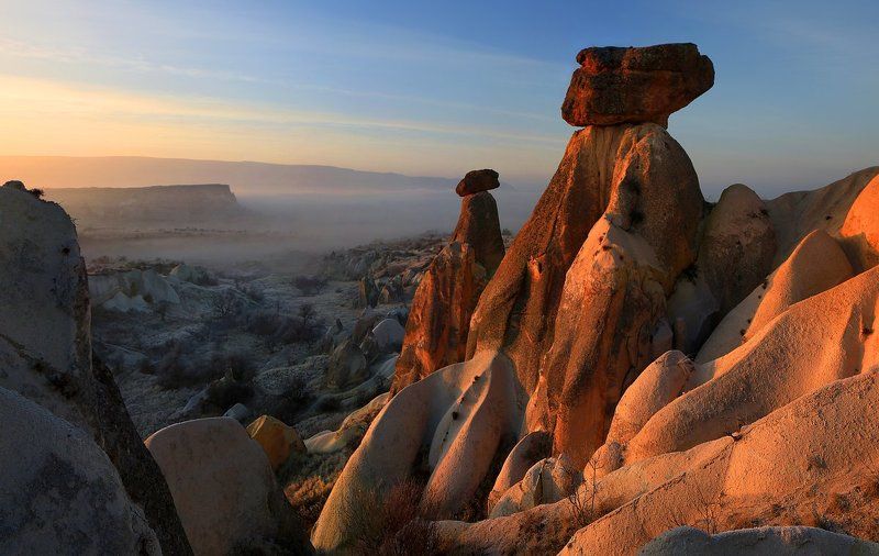 и тремс следовал за ним... фото превью