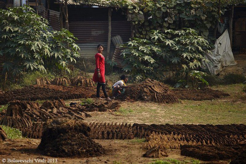 Индия. Вдоль железных дорог фото превью