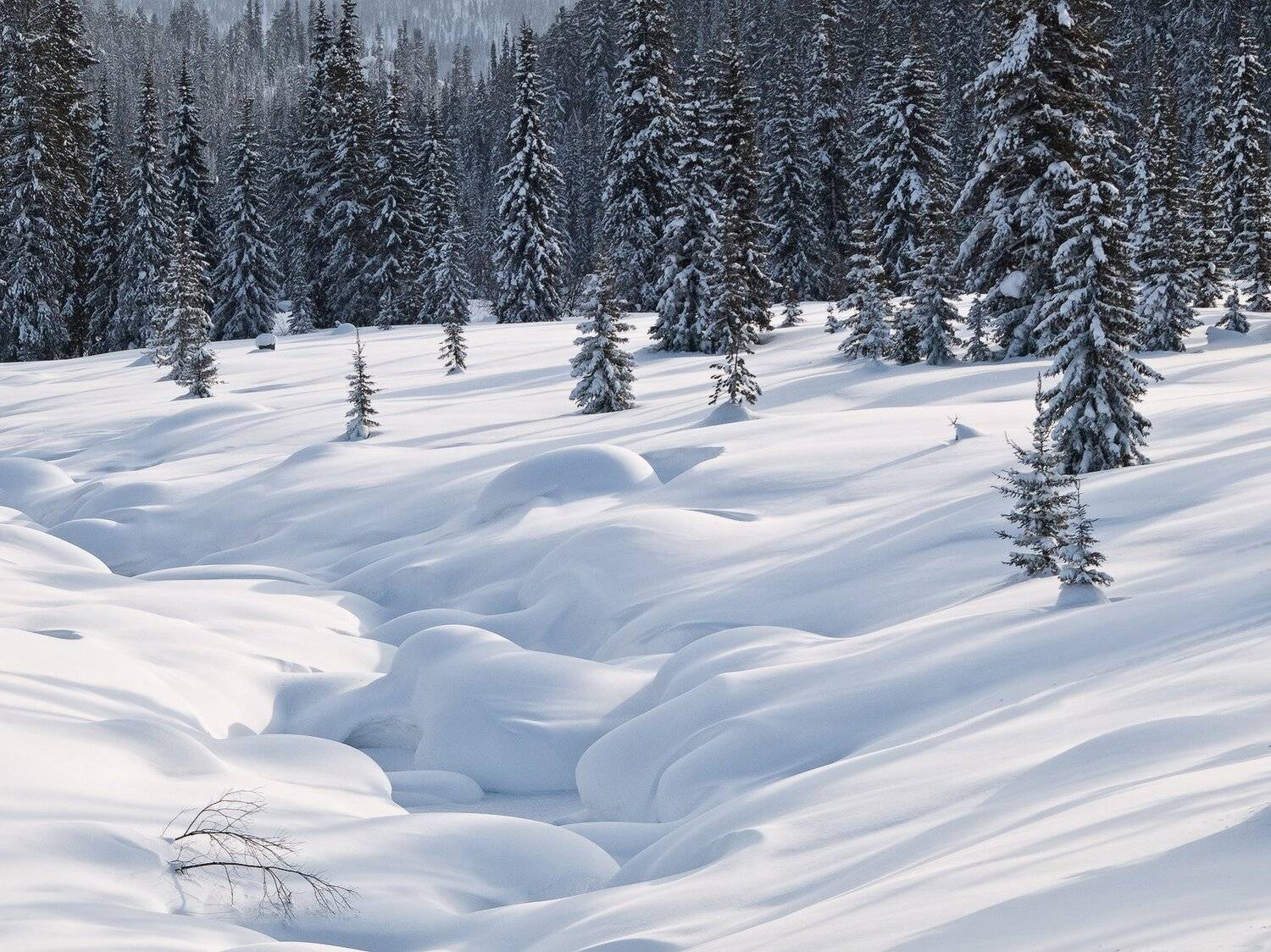 , Лещёнок Александр