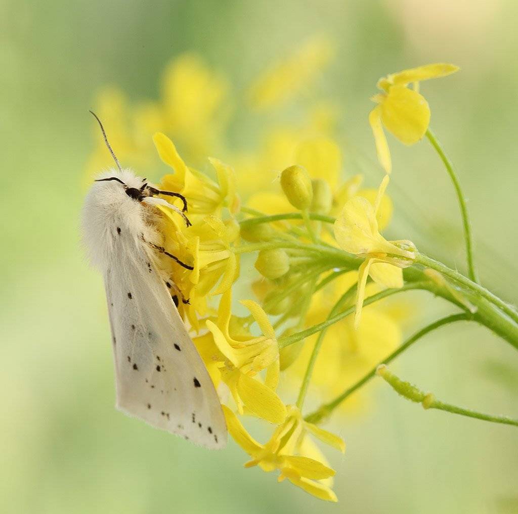 , Сергей Таланов