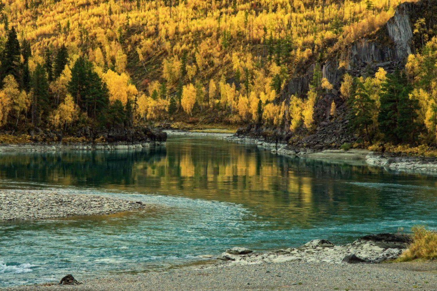 осень, катунь,алтай, Галина Хвостенко