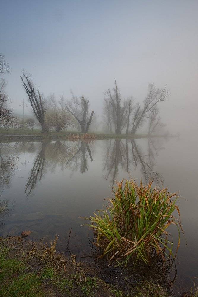 , Александр Аседач