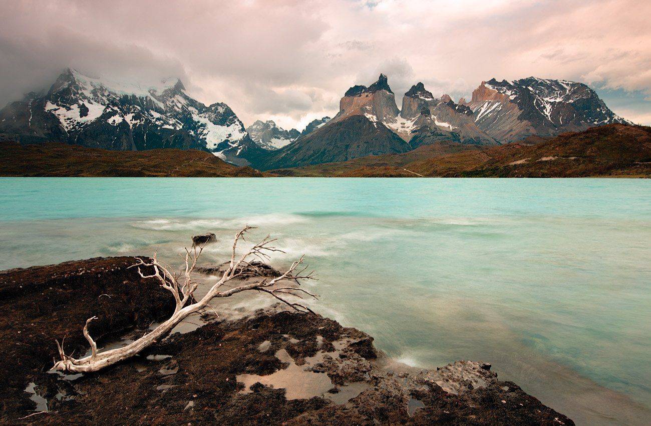 , Андрей Ведерников