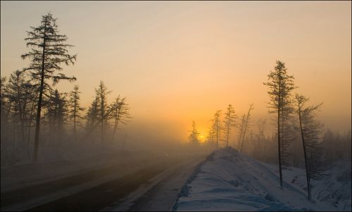 Стремление к свету