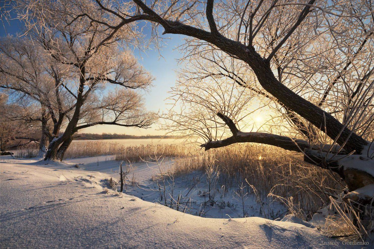 , Анатолий Гордиенко