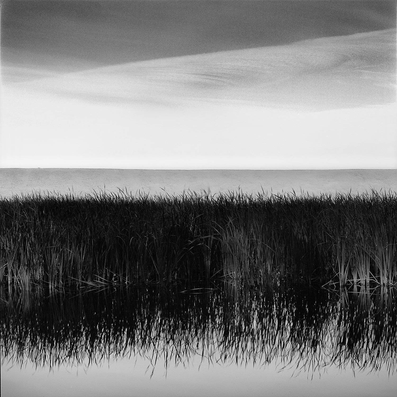 , Игнат Цоколаев