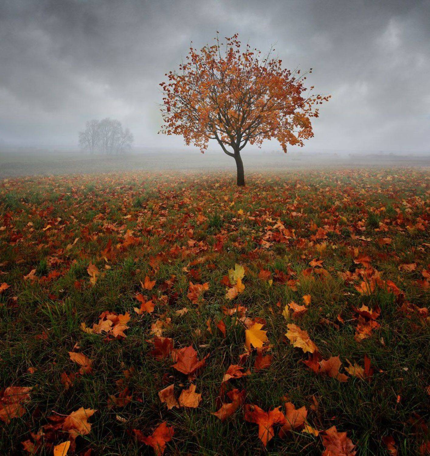 , Иванчиков Дмитрий