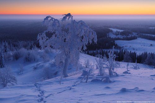 Ледяной рассвет на Белой горе —38°C