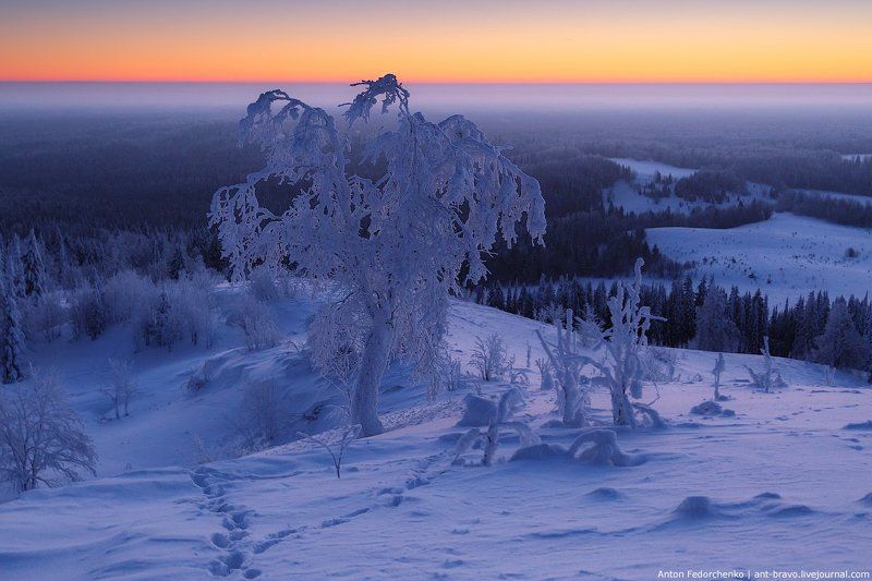 белогорский, зима, край, монастырь, мороз, пермский, рассвет Ледяной рассвет на Белой горе —38°C фото превью