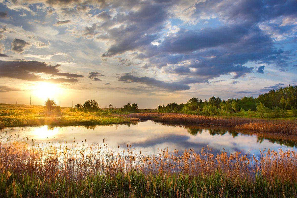 , Александр