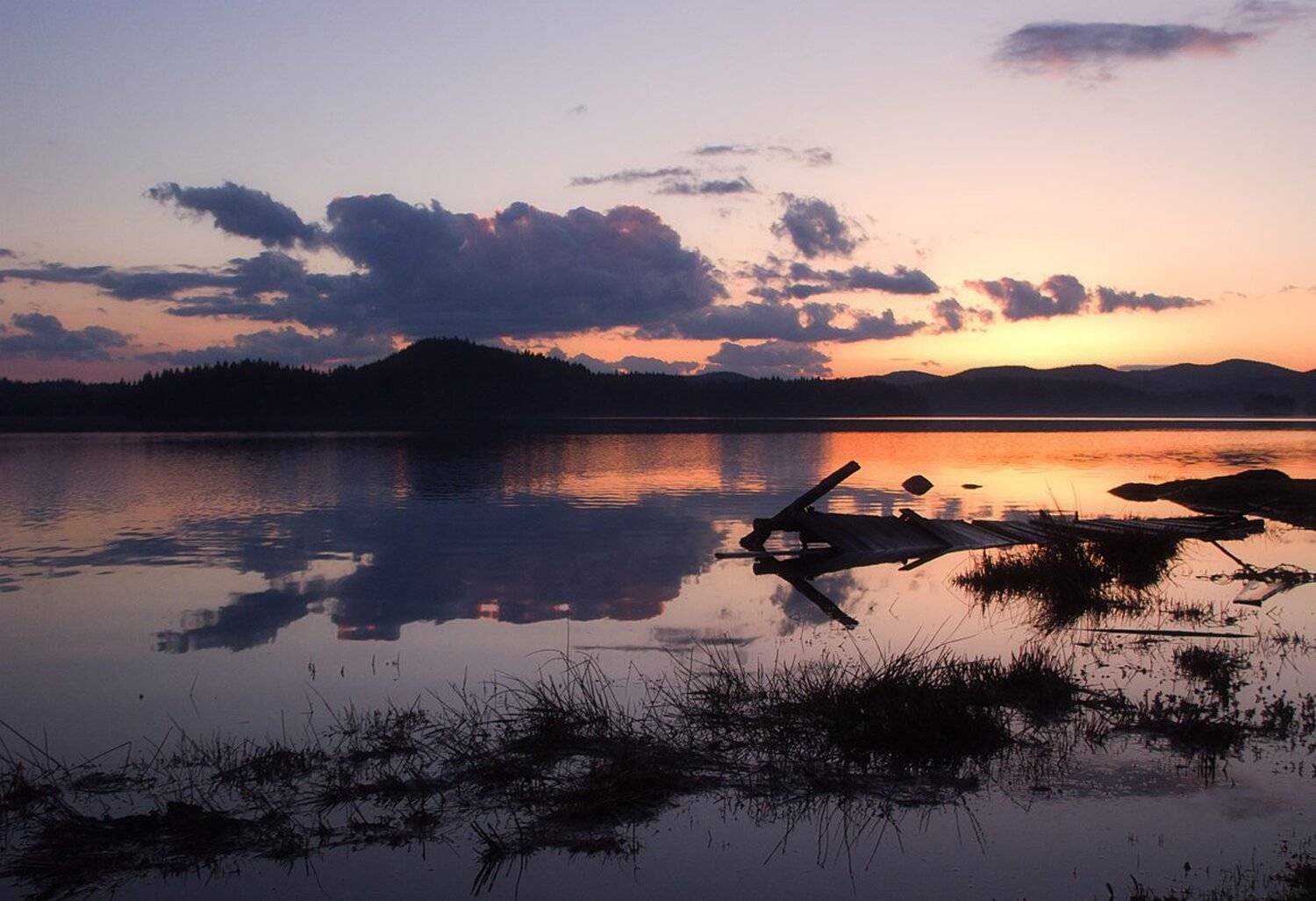 , Ирина Костова