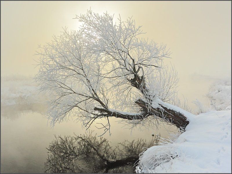 Морозный рассвет 2 фото превью