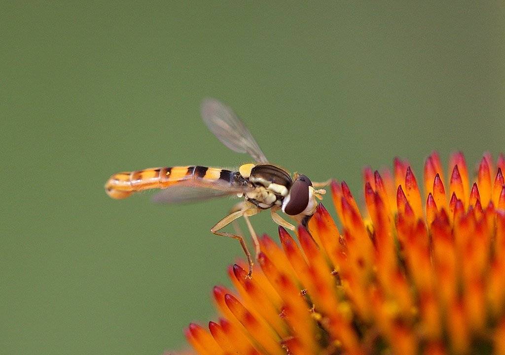 , Сергей Таланов
