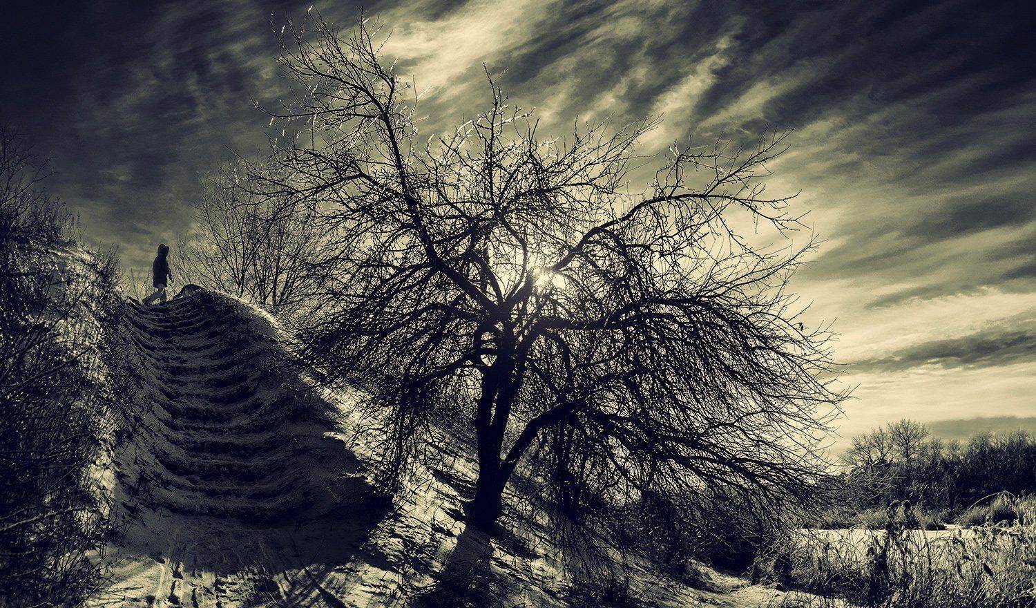 , Игорь Мелекесцев