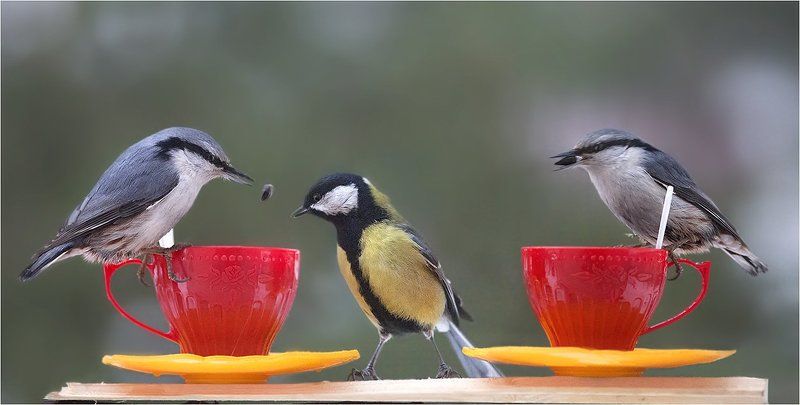 ПОЧАЕВНИЧАЕМ?! фото превью