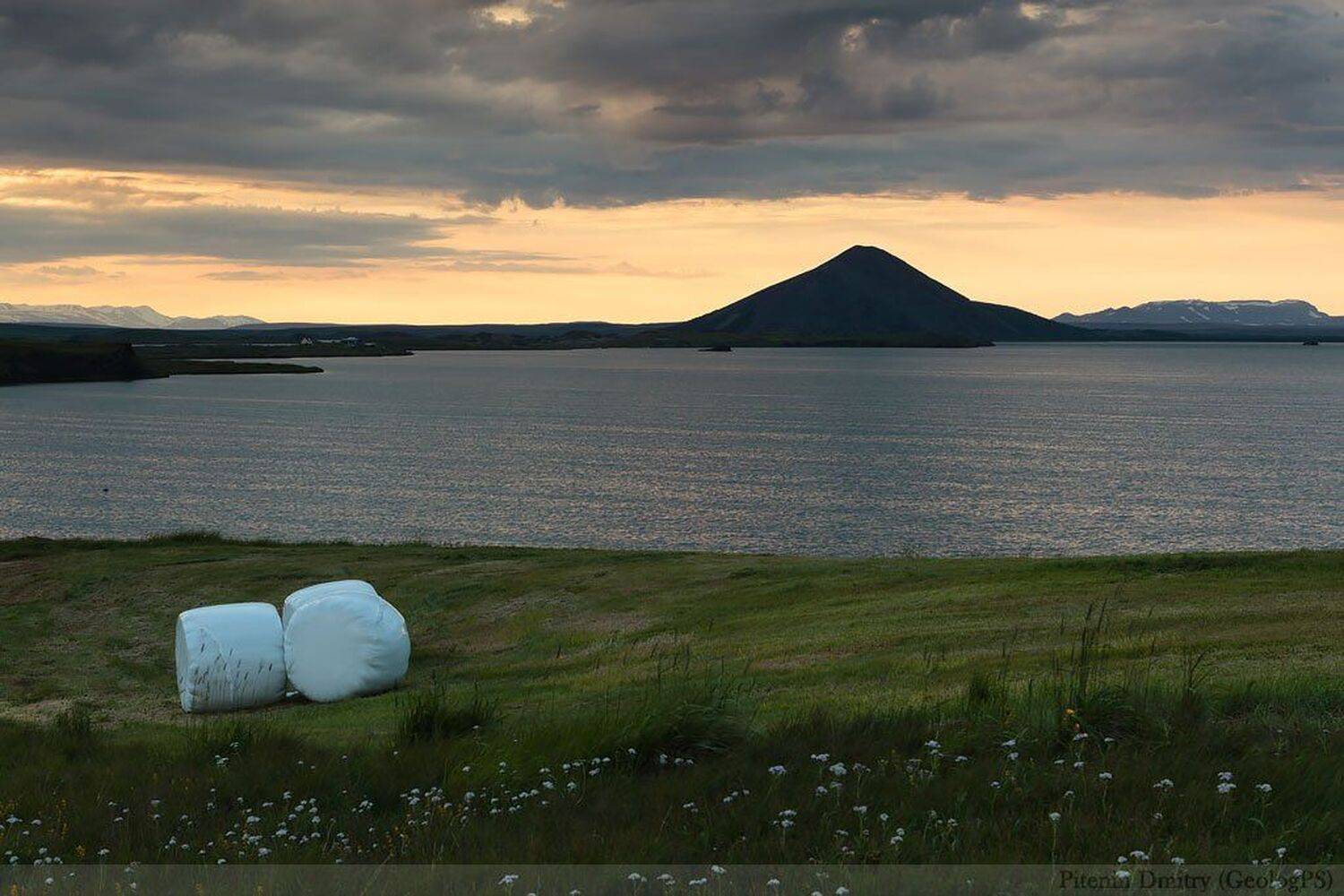 , Питенин Дмитрий